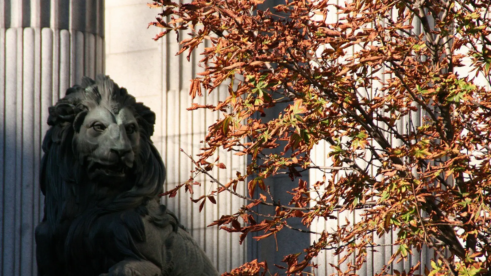 Uno de los leones del Congreso de los Diputados