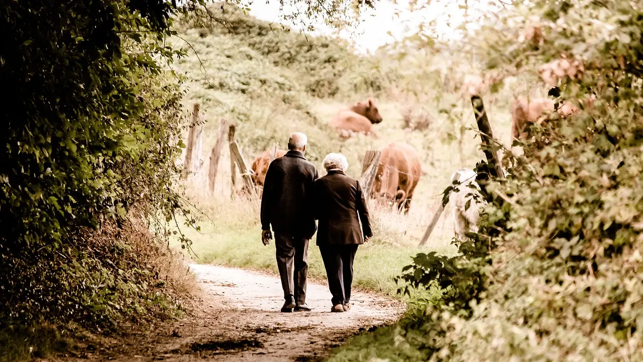 Pareja de jubilados